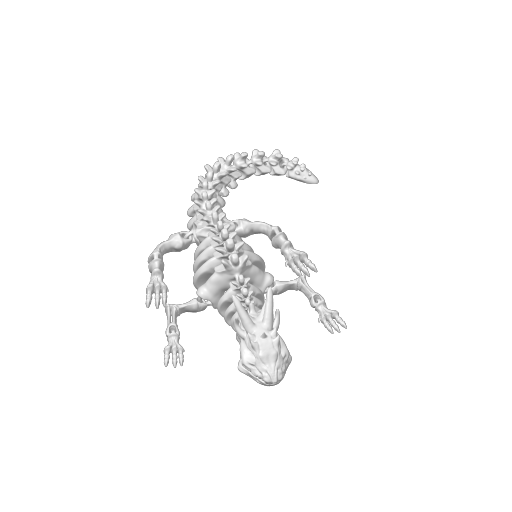 Skeleton Dragon