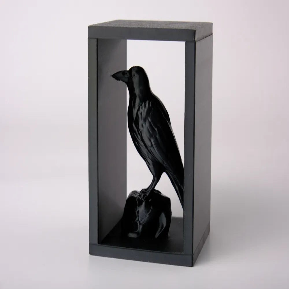 Black crow figurine inside a black glass box on a white background