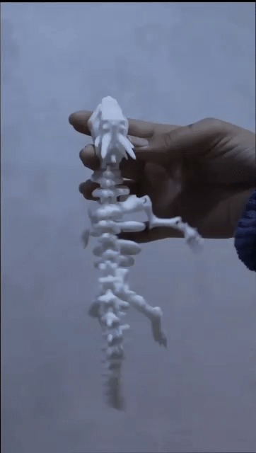 Skeleton Dragon by SolidForms ( Toy )