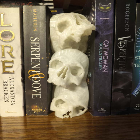 Two white skull figurines on a shelf with books
